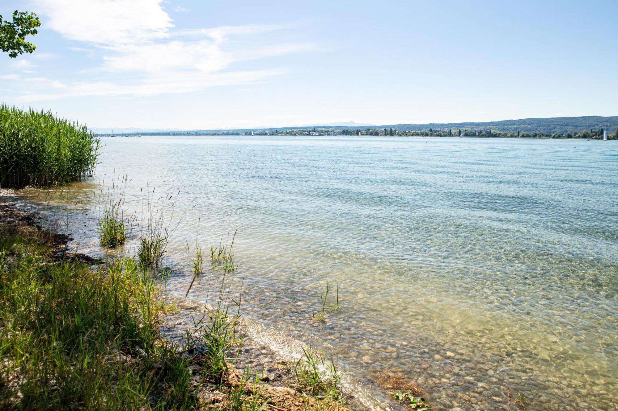 Lakeside Apartment - Seeufer Apartment Allensbach Eksteriør bilde